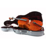 Advice about: String Instruments Advice about: String Instruments