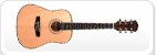 Acoustic Guitars