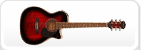 Electro Acoustics