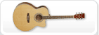 Acoustic Guitars