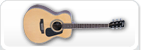 Akustiske guitarer