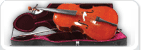 All Cellos
