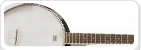 Banjo Strings