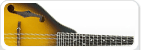 Mandolin Strings