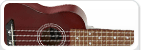 Ukulele Strings