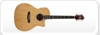 Hagstrom Acoustics