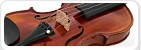 Violins